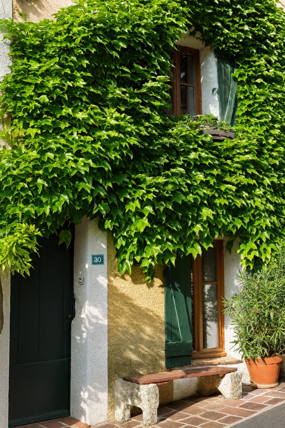 Studio Außenansicht mit wildem Wein
